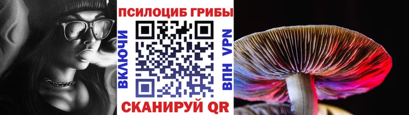 Псилоцибиновые грибы GOLDEN TEACHER Вышний Волочёк